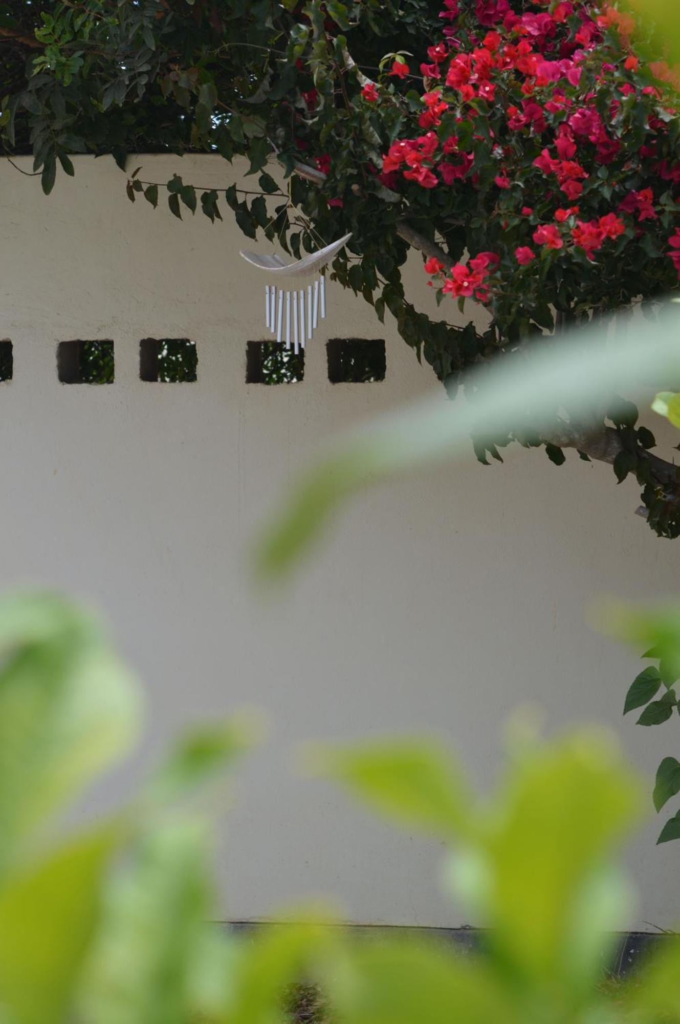 Cottage On Diamond Street سواكوبموند المظهر الخارجي الصورة